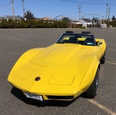 Unknown-Corvette-1974-Yellow-20