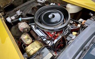 Unknown-Corvette-1974-Yellow-24