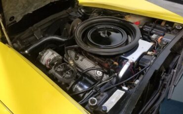 Unknown-Corvette-1974-Yellow-32