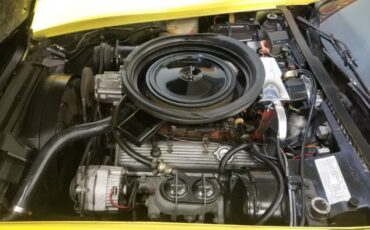 Unknown-Corvette-1974-Yellow-34