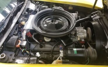 Unknown-Corvette-1974-Yellow-36