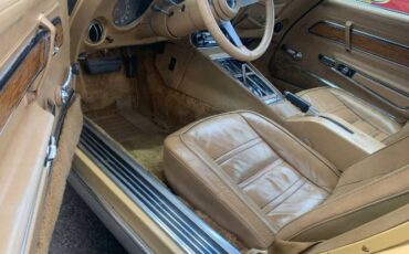 Unknown-Corvette-1974-Yellow-8