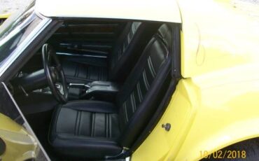 Unknown-Corvette-1975-1