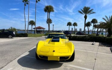 Unknown-Corvette-1975-11