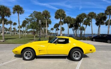 Unknown-Corvette-1975-14