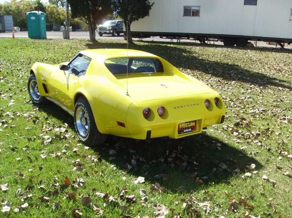 Unknown-Corvette-1975-3