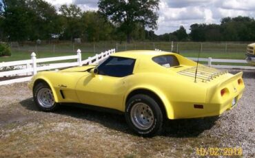 Unknown-Corvette-1975-3