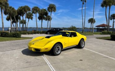 Unknown-Corvette-1975-3