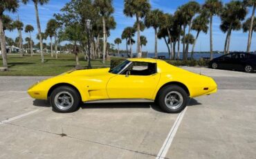 Unknown-Corvette-1975-4