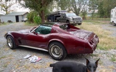 Unknown-Corvette-1975-5