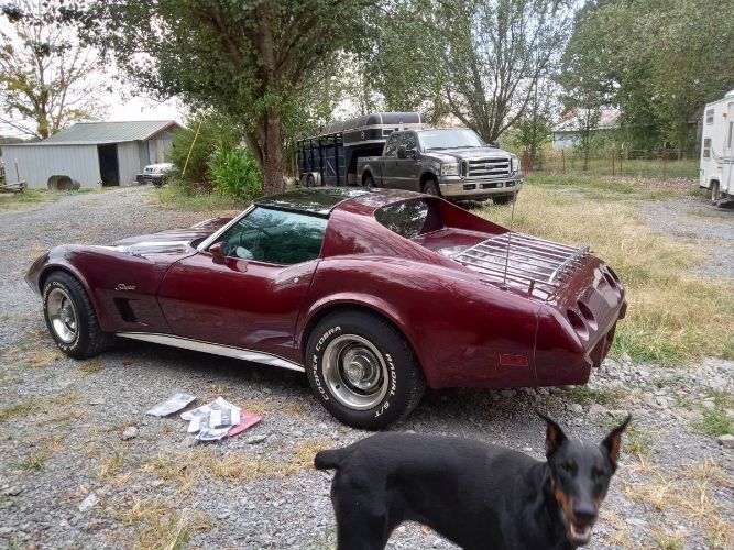 Unknown-Corvette-1975-5
