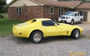 Unknown-Corvette-1975-5