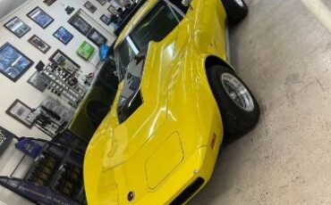 Unknown-Corvette-1975-6