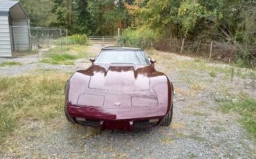 Unknown-Corvette-1975-7