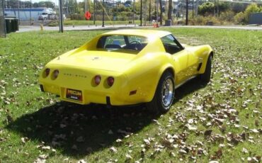 Unknown-Corvette-1975-7
