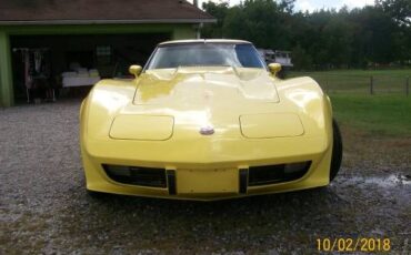 Unknown-Corvette-1975-7