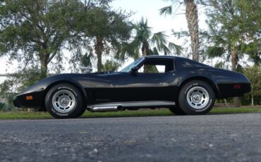 Unknown-Corvette-1975-Black-Black-and-Red-11
