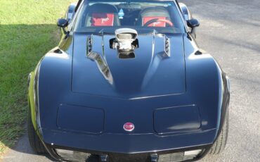Unknown-Corvette-1975-Black-Black-and-Red-25
