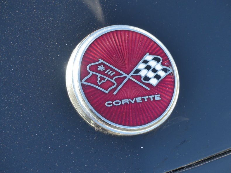 Unknown-Corvette-1975-Black-Black-and-Red-35