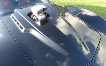 Unknown-Corvette-1975-Black-Black-and-Red-36