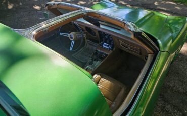 Unknown-Corvette-1975-Green-Brown-1