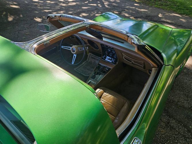 Unknown-Corvette-1975-Green-Brown-1