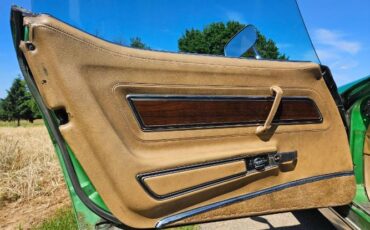 Unknown-Corvette-1975-Green-Brown-10