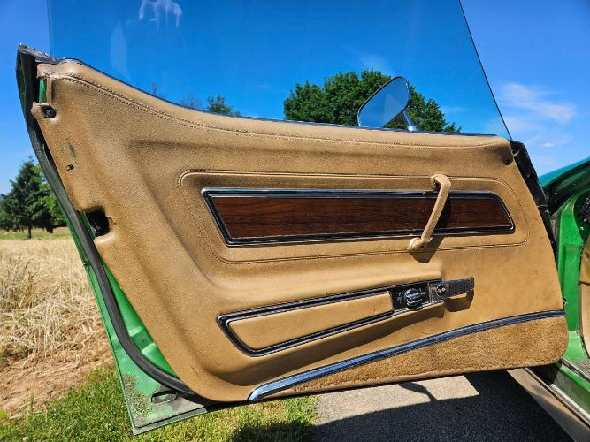 Unknown-Corvette-1975-Green-Brown-10