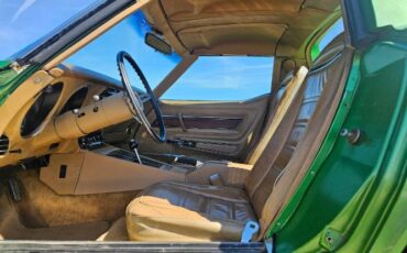Unknown-Corvette-1975-Green-Brown-11