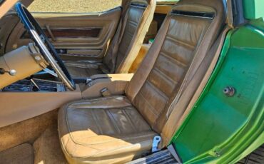 Unknown-Corvette-1975-Green-Brown-12