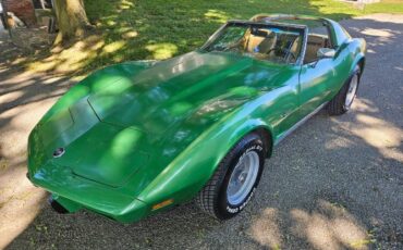 Unknown-Corvette-1975-Green-Brown-13