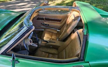 Unknown-Corvette-1975-Green-Brown-14