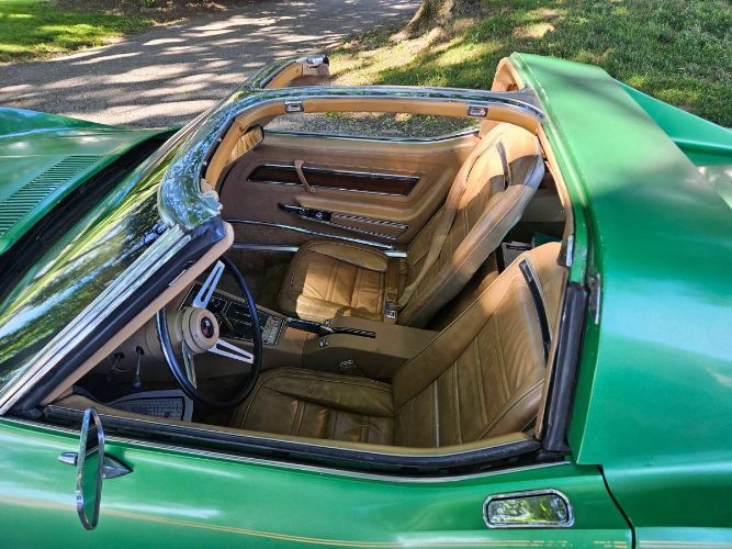 Unknown-Corvette-1975-Green-Brown-14