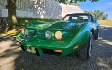 Unknown-Corvette-1975-Green-Brown-15