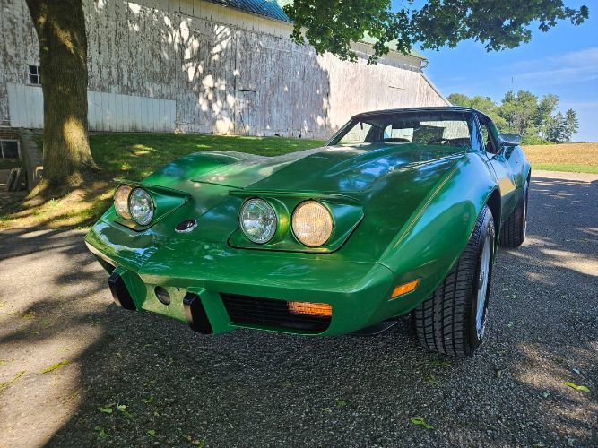 Unknown-Corvette-1975-Green-Brown-15