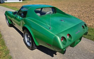 Unknown-Corvette-1975-Green-Brown-16