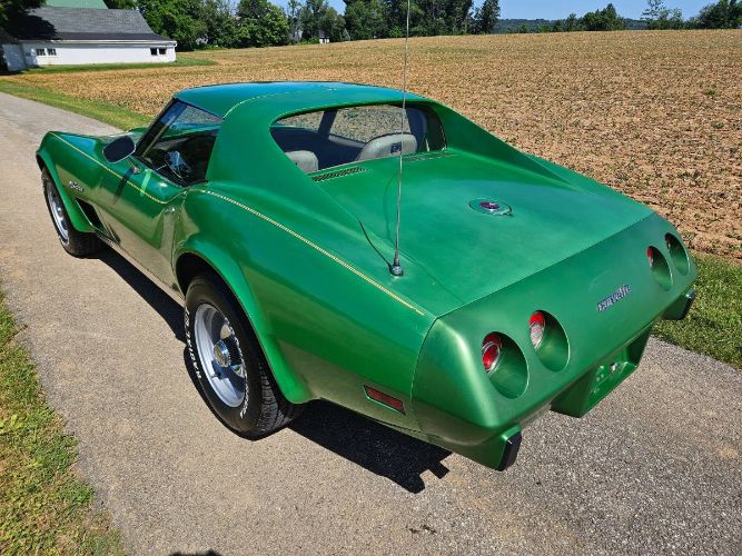 Unknown-Corvette-1975-Green-Brown-16