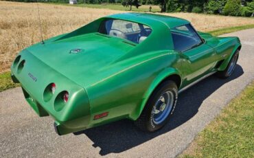 Unknown-Corvette-1975-Green-Brown-17
