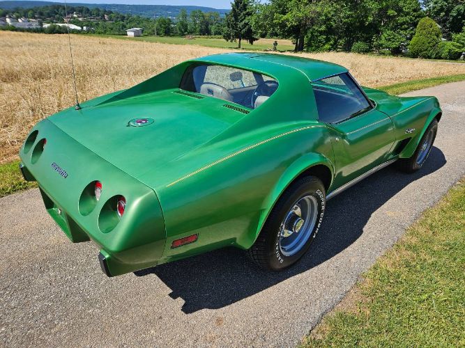 Unknown-Corvette-1975-Green-Brown-17