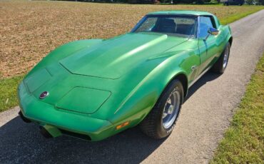 Unknown-Corvette-1975-Green-Brown-18