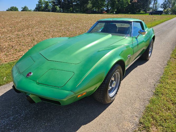 Unknown-Corvette-1975-Green-Brown-18