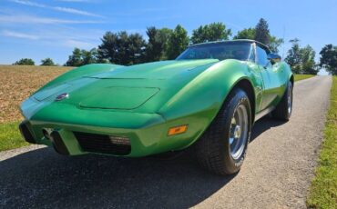 Unknown-Corvette-1975-Green-Brown-19