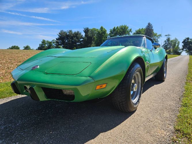 Unknown-Corvette-1975-Green-Brown-19