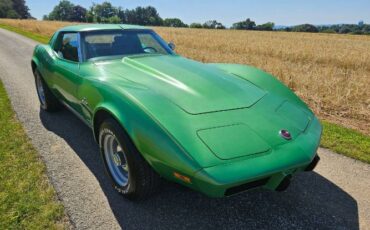 Unknown-Corvette-1975-Green-Brown-2