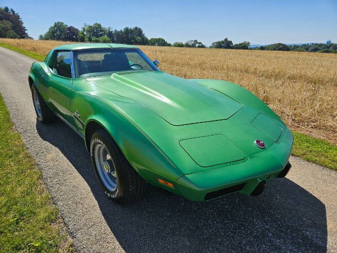 Unknown-Corvette-1975-Green-Brown-2