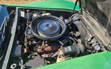 Unknown-Corvette-1975-Green-Brown