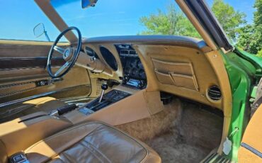 Unknown-Corvette-1975-Green-Brown-4