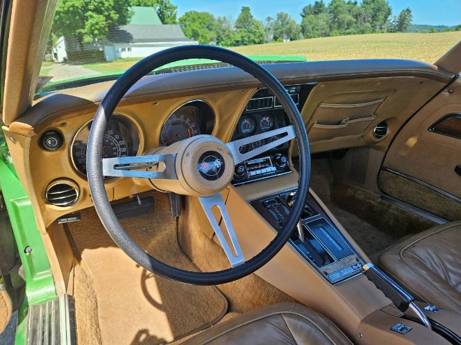 Unknown-Corvette-1975-Green-Brown-5