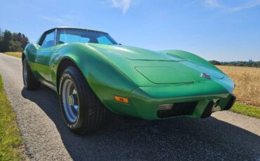 Unknown-Corvette-1975-Green-Brown-6