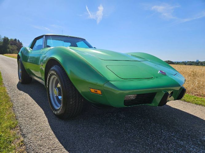 Unknown-Corvette-1975-Green-Brown-6